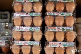 美媒：禽流感导致大量家禽死亡 美国鸡蛋价格升至创纪录高点