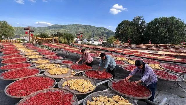 稻菽千重浪丨中国要富，农民必须富