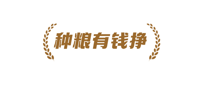 稻菽千重浪丨中国要富，农民必须富